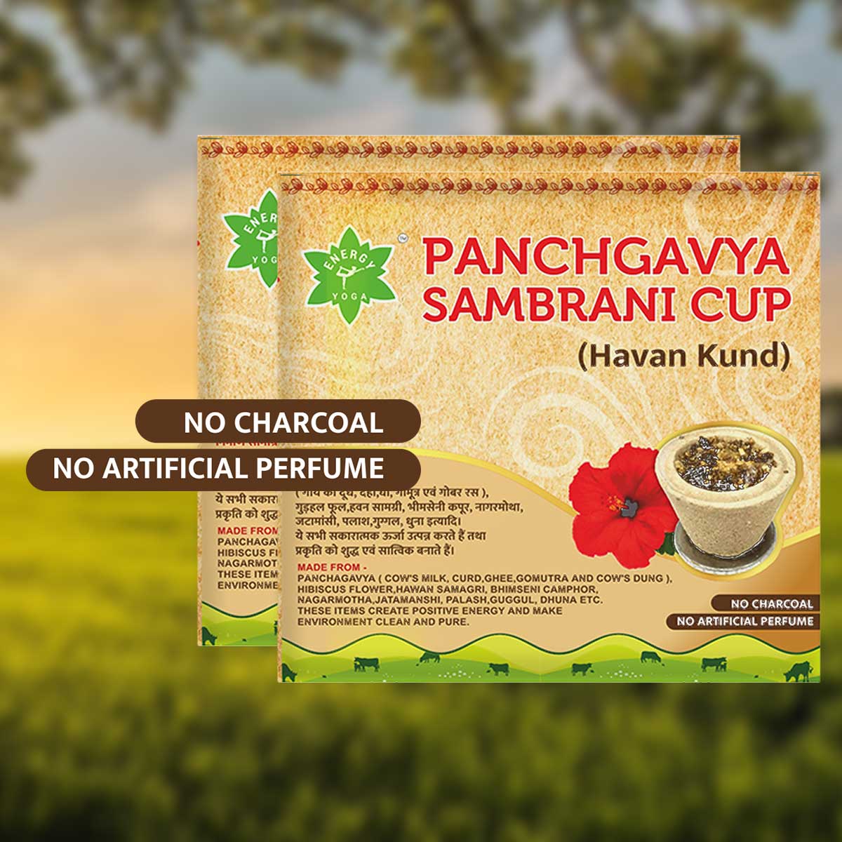 Panchgavya  Sambarani Cup (Havan Kund) - 2 Packs with 16 Cups in each
