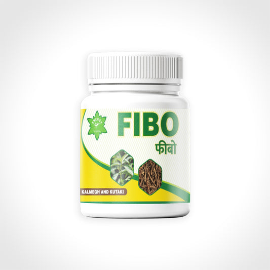 FIBO (Ayurvedic Medicine)  - 2 packs